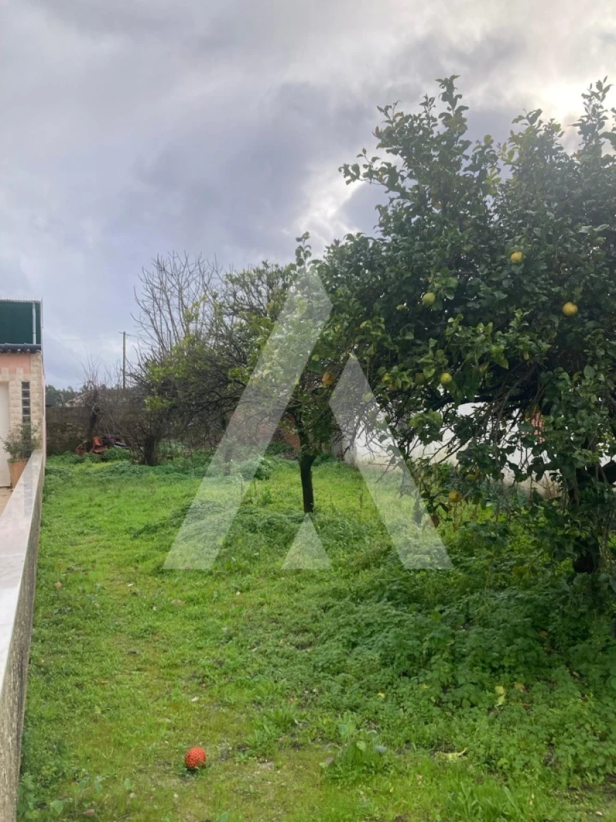 Terreno para Venda em Fonte de Angeão e Covão do Lobo Foto 4