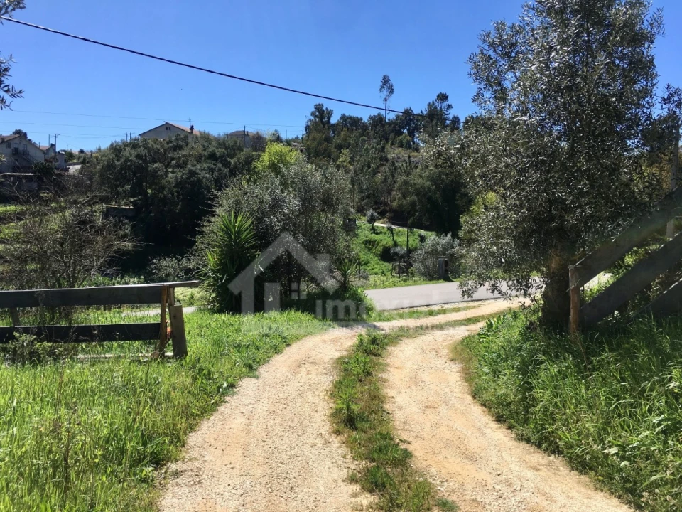 Quinta T1 para Venda em Figueiró dos Vinhos e Bairradas Foto 5