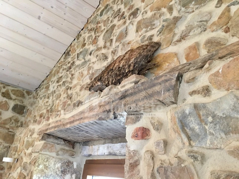 Quinta T1 para Venda em Figueiró dos Vinhos e Bairradas Foto 53