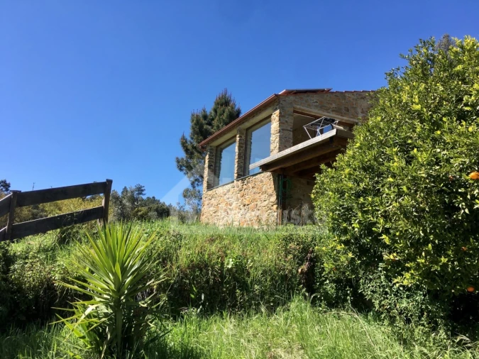 Quinta T1 para Venda em Figueiró dos Vinhos e Bairradas Foto 6