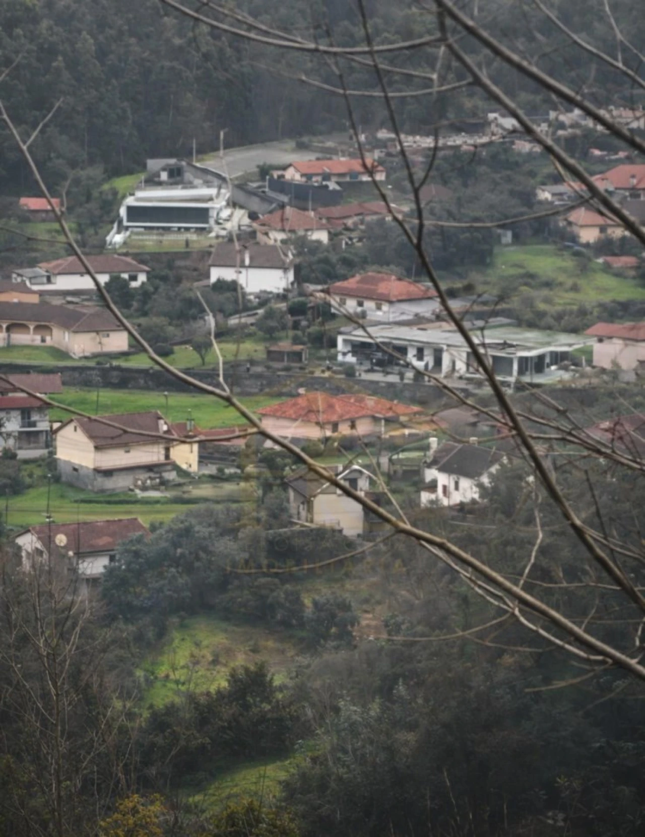 Terreno Agricola ou Rústico para Venda em Parada do Bouro Foto 1