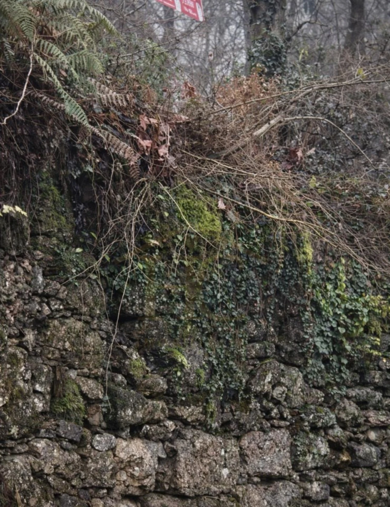 Terreno Agricola ou Rústico para Venda em Parada do Bouro Foto 3