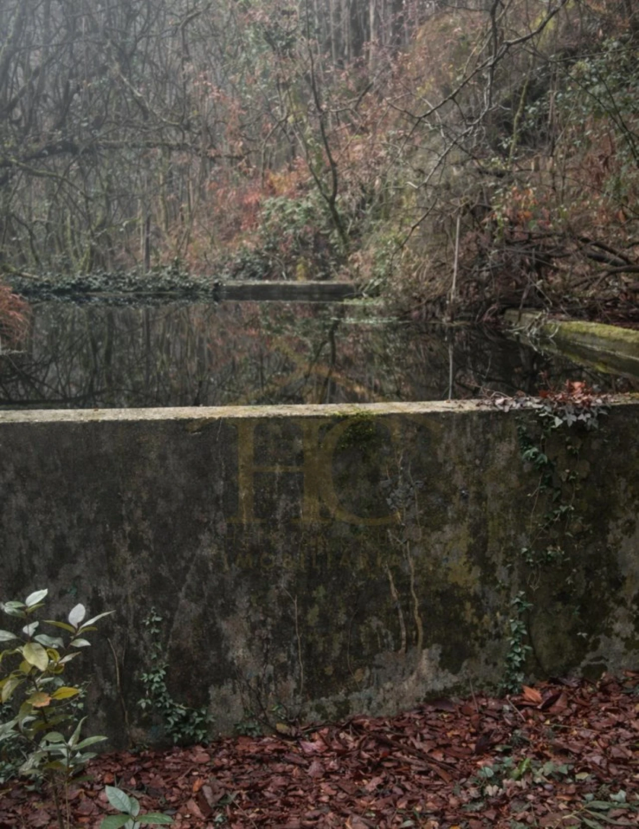 Terreno Agricola ou Rústico para Venda em Parada do Bouro Foto 7