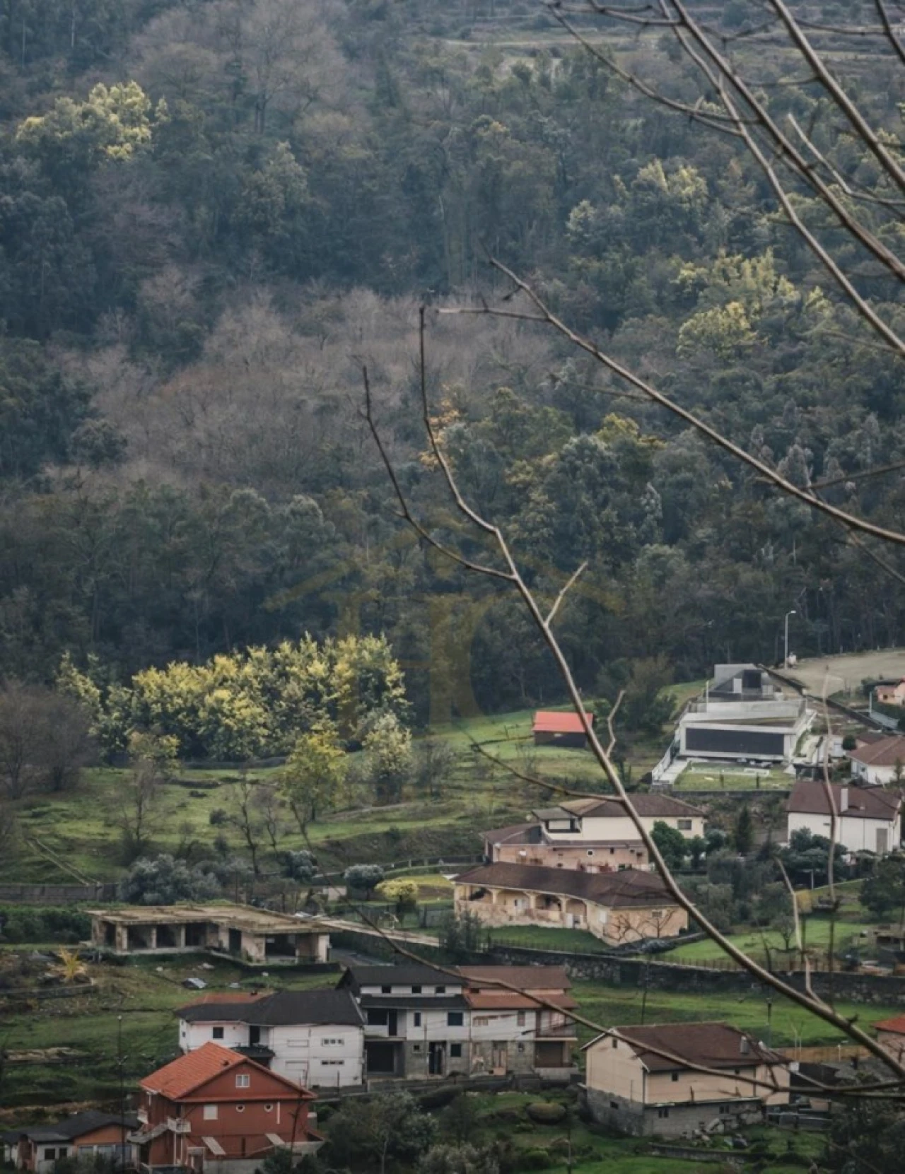 Terreno Agricola ou Rústico para Venda em Parada do Bouro Foto 10