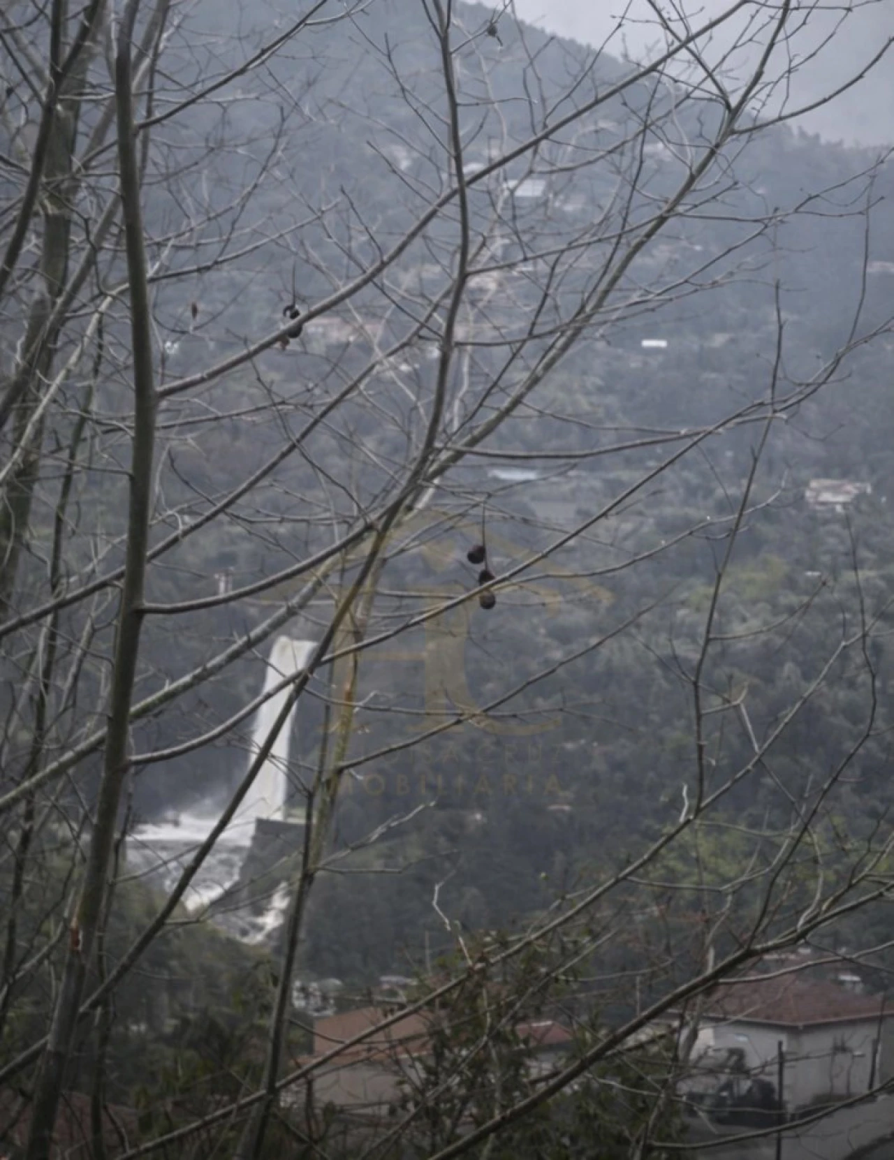 Terreno Agricola ou Rústico para Venda em Parada do Bouro Foto 13
