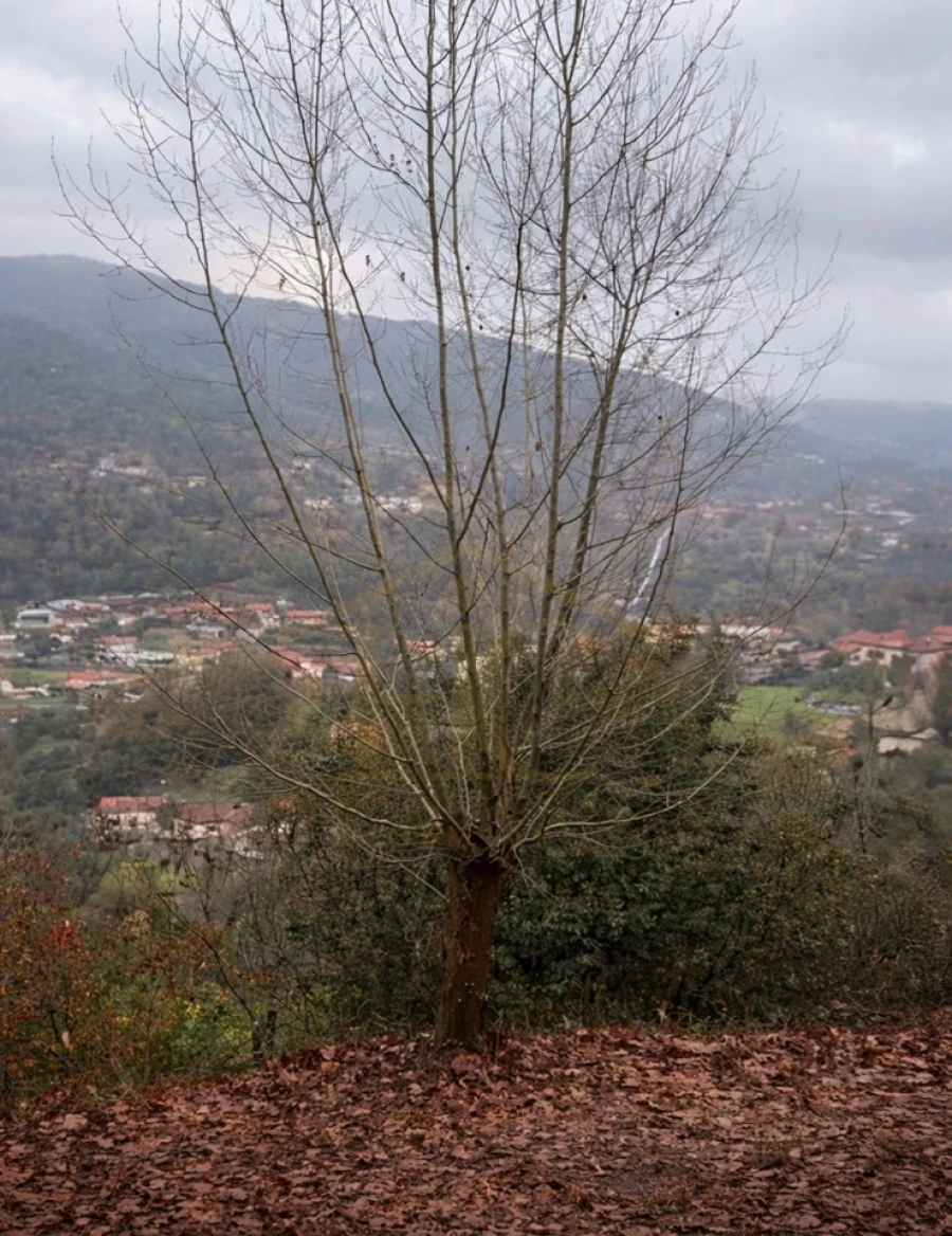 Terreno Agricola ou Rústico para Venda em Parada do Bouro Foto 4