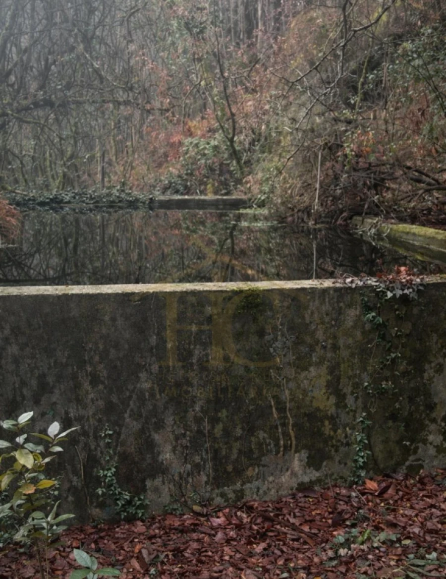 Terreno Agricola ou Rústico para Venda em Parada do Bouro Foto 7