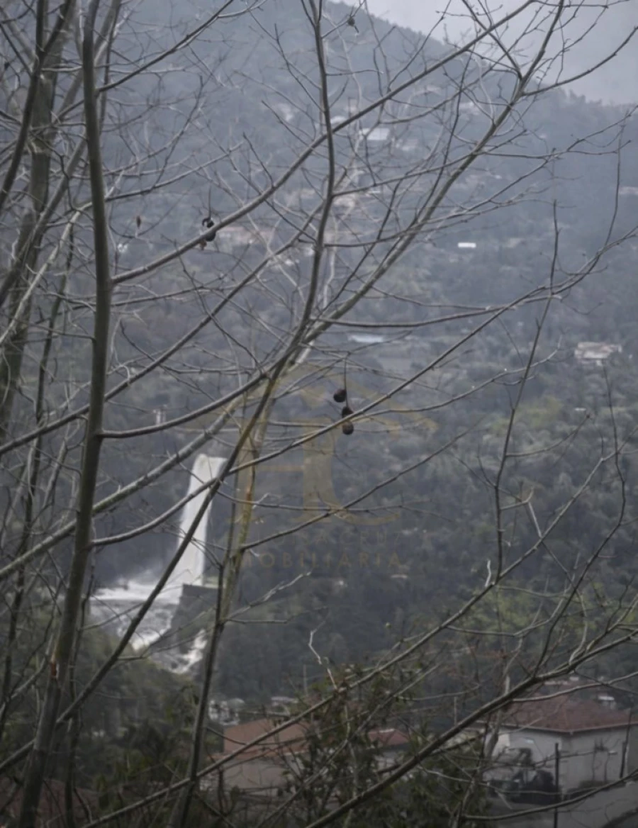 Terreno Agricola ou Rústico para Venda em Parada do Bouro Foto 13