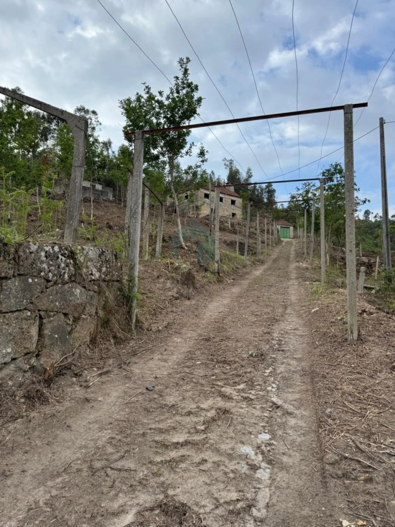 Terreno para Venda em Sande e São Lourenço Foto 22
