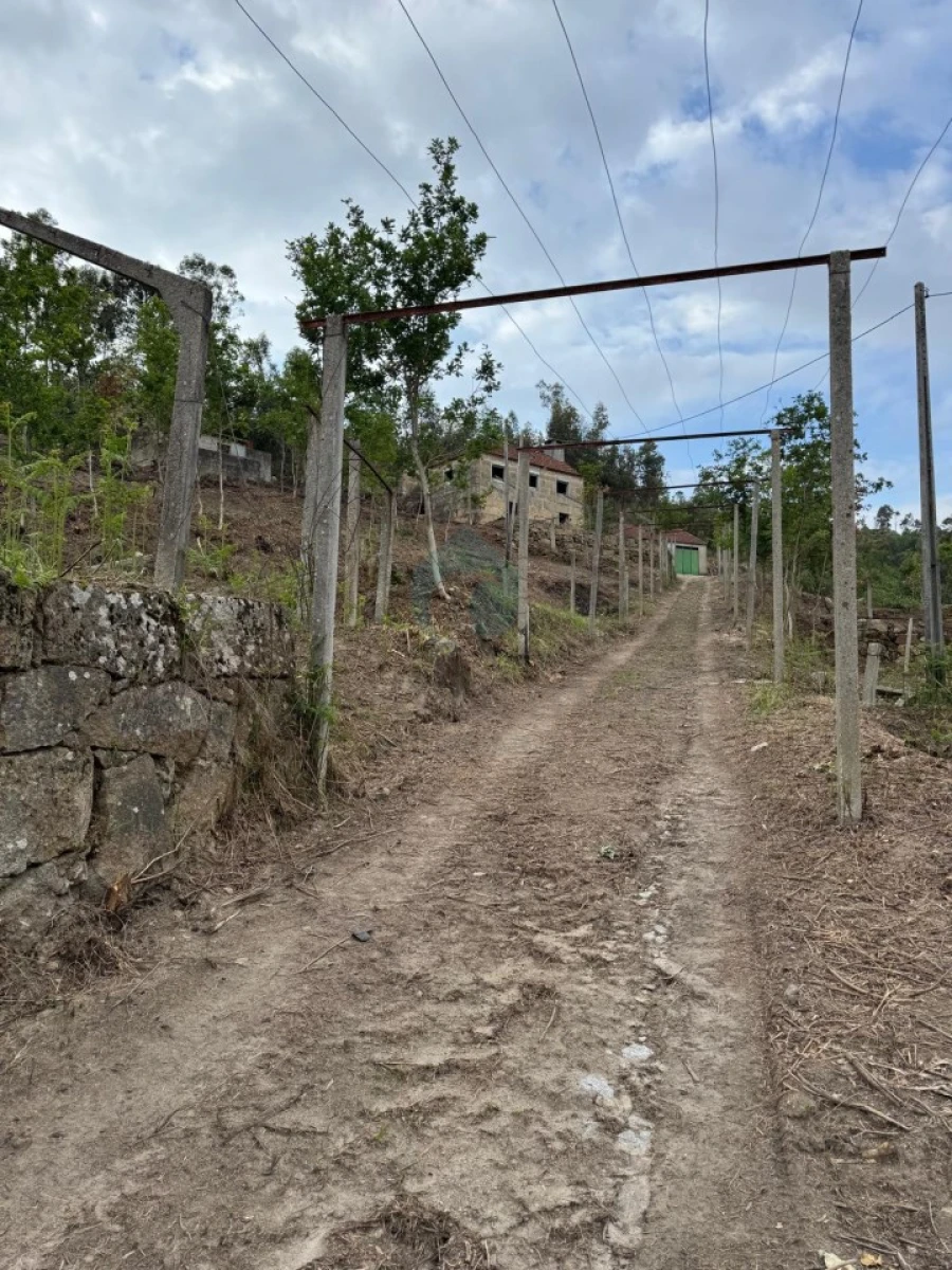 Terreno para Venda em Sande e São Lourenço Foto 22