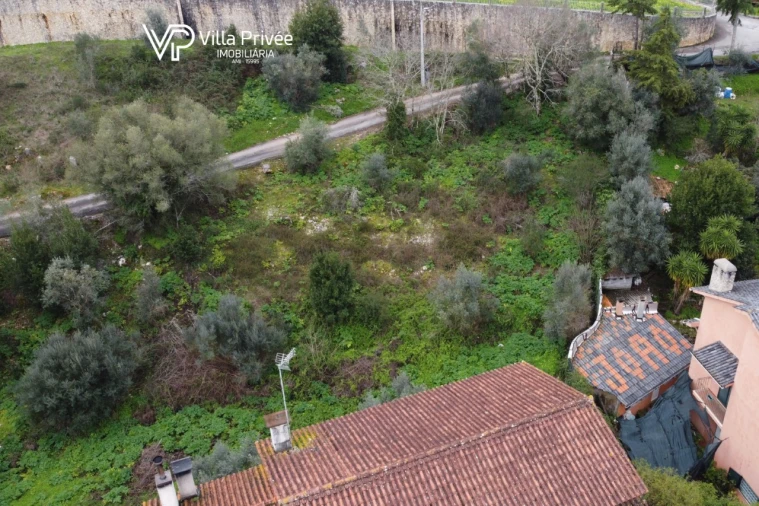 Terreno para Venda em Condeixa-A-Velha e Condeixa-A-Nova Foto 6
