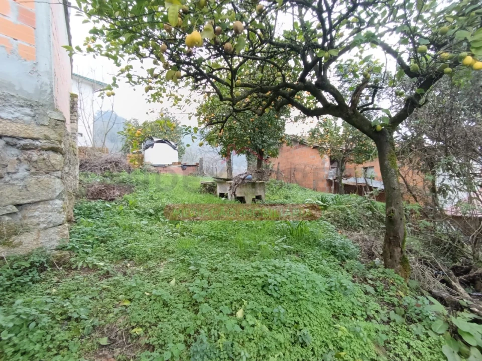 Moradia T2 para Venda em Castelões Foto 6