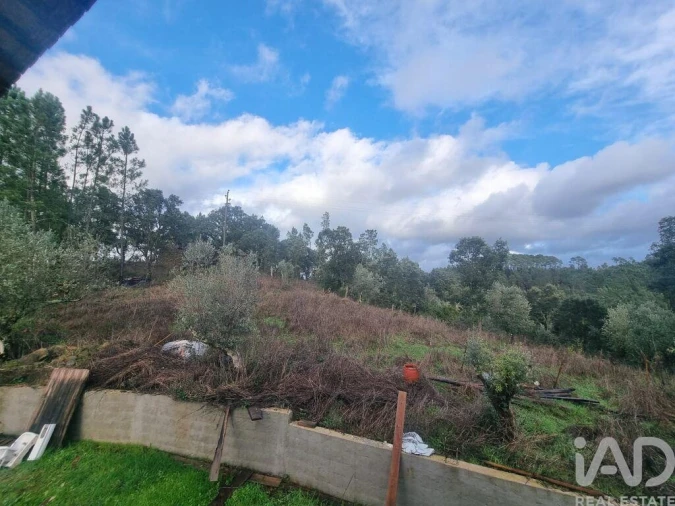 Moradia T3 para Venda em Cernache do Bonjardim, Nesperal e Palhais Foto 24