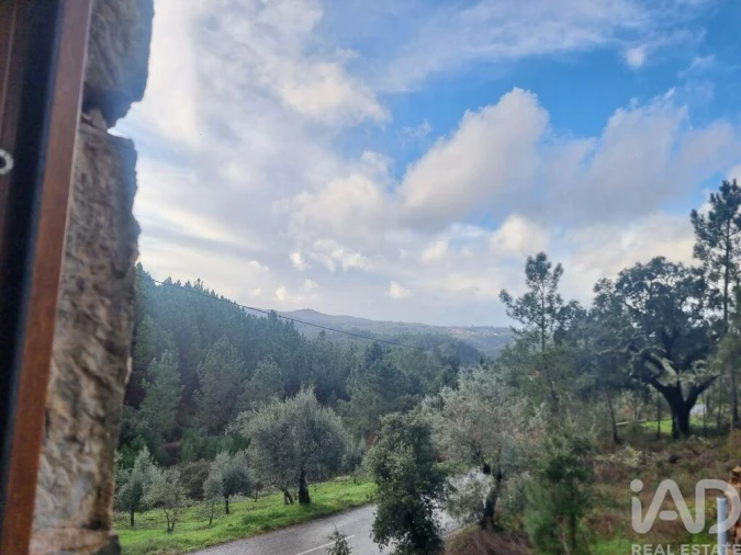 Moradia T3 para Venda em Cernache do Bonjardim, Nesperal e Palhais Foto 25