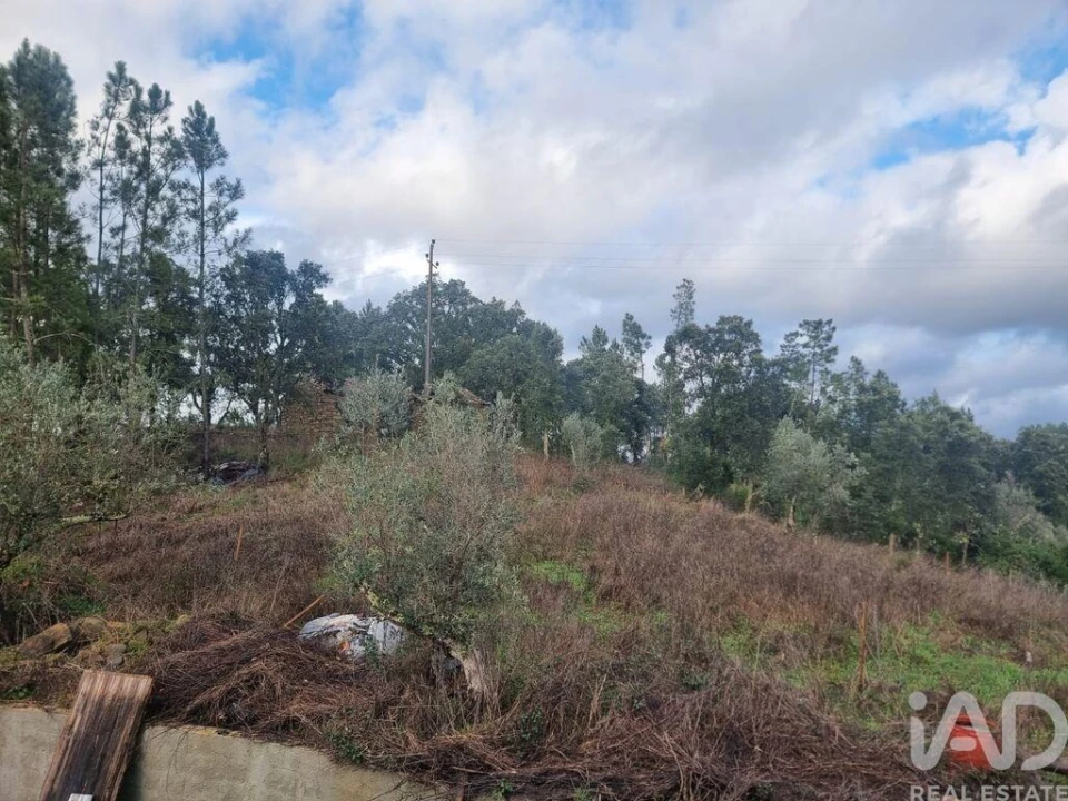 Moradia T3 para Venda em Cernache do Bonjardim, Nesperal e Palhais Foto 22