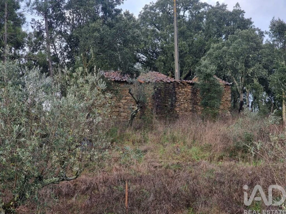 Moradia T3 para Venda em Cernache do Bonjardim, Nesperal e Palhais Foto 29