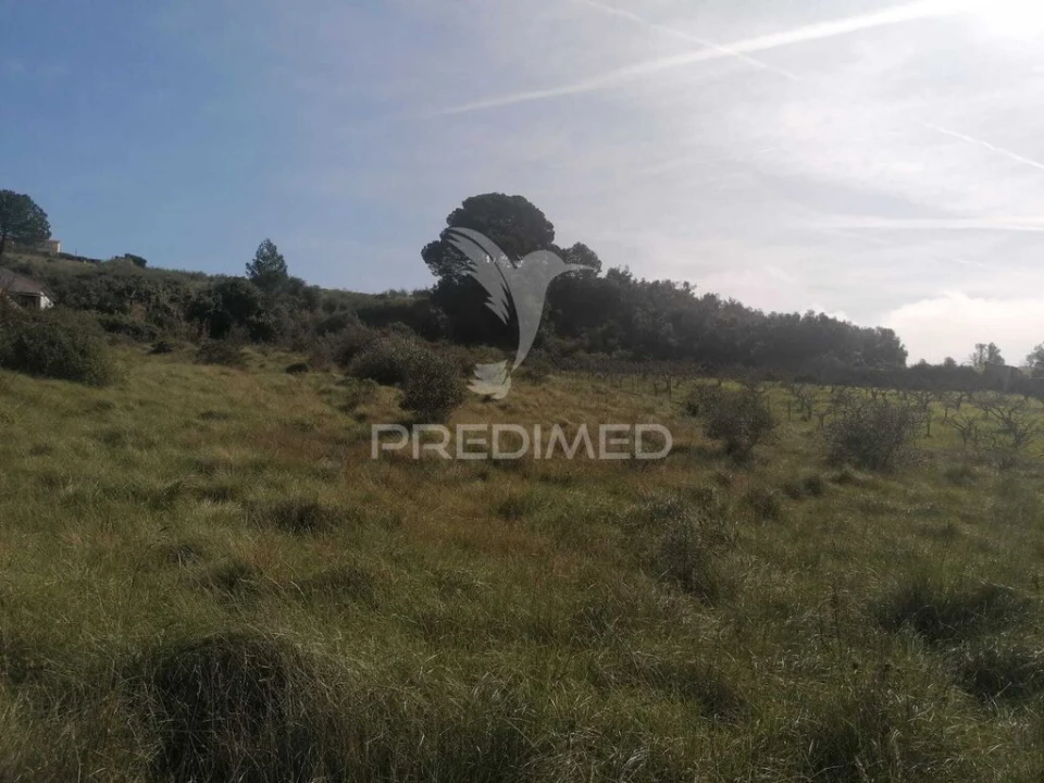 Terreno para Venda em Alhandra, São João dos Montes e Calhandriz Foto 3