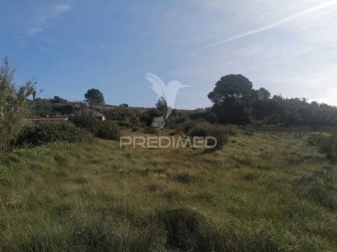 Terreno para Venda em Alhandra, São João dos Montes e Calhandriz Foto 8