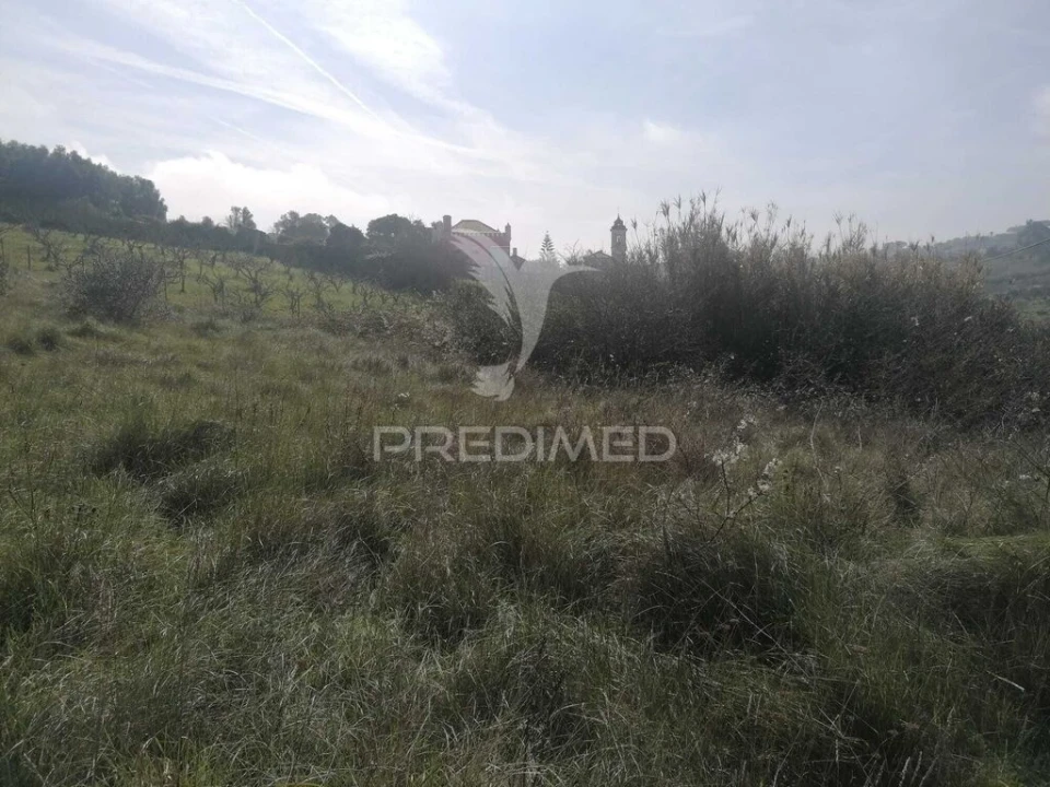 Terreno para Venda em Alhandra, São João dos Montes e Calhandriz Foto 4