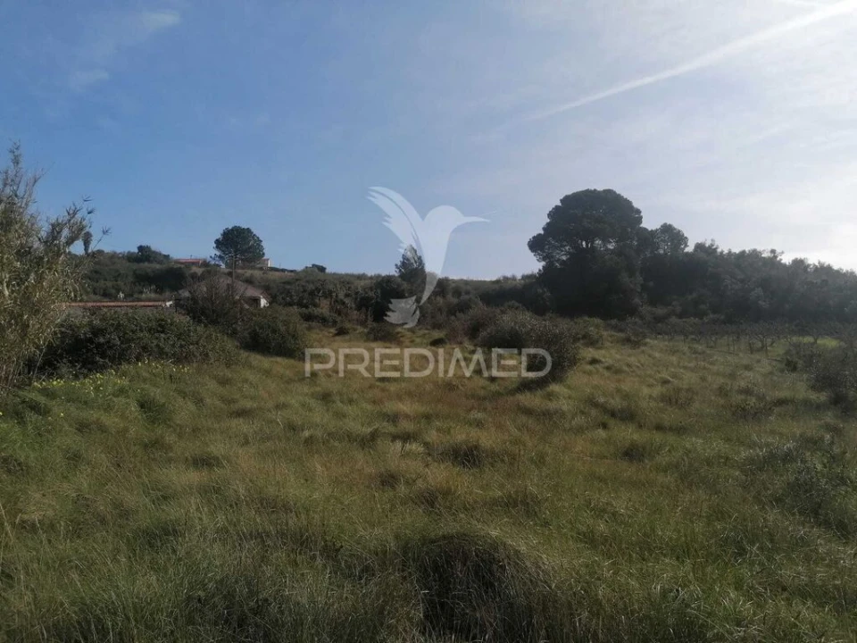 Terreno para Venda em Alhandra, São João dos Montes e Calhandriz Foto 8