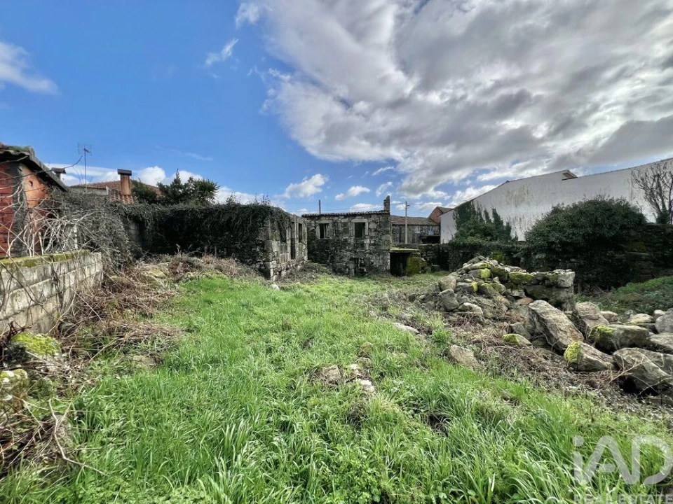 Terreno para Venda em Campia Foto 15