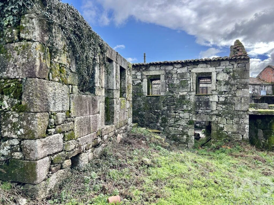 Terreno para Venda em Campia Foto 4