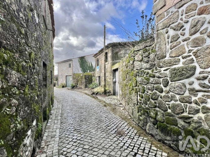 Terreno para Venda em Campia Foto 10