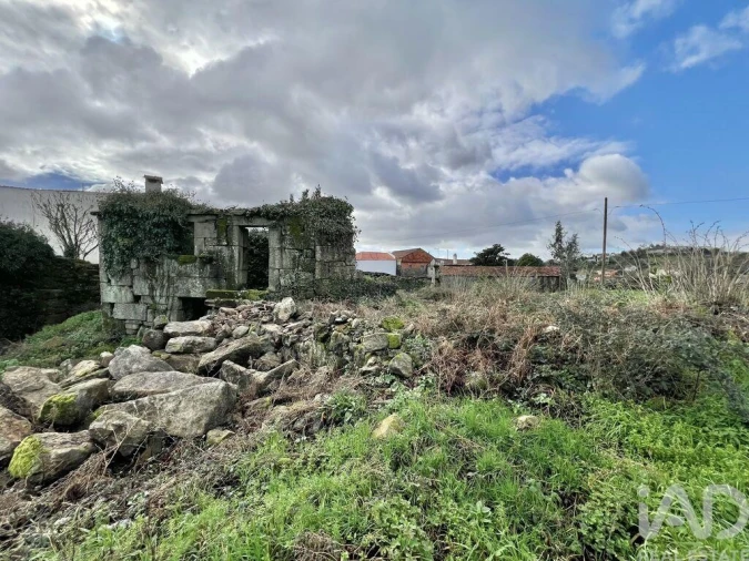Terreno para Venda em Campia Foto 18