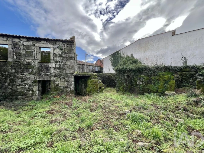 Terreno para Venda em Campia Foto 19