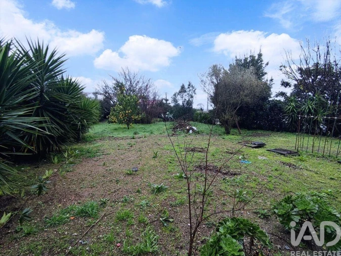 Moradia T6 para Venda em Pedome Foto 6