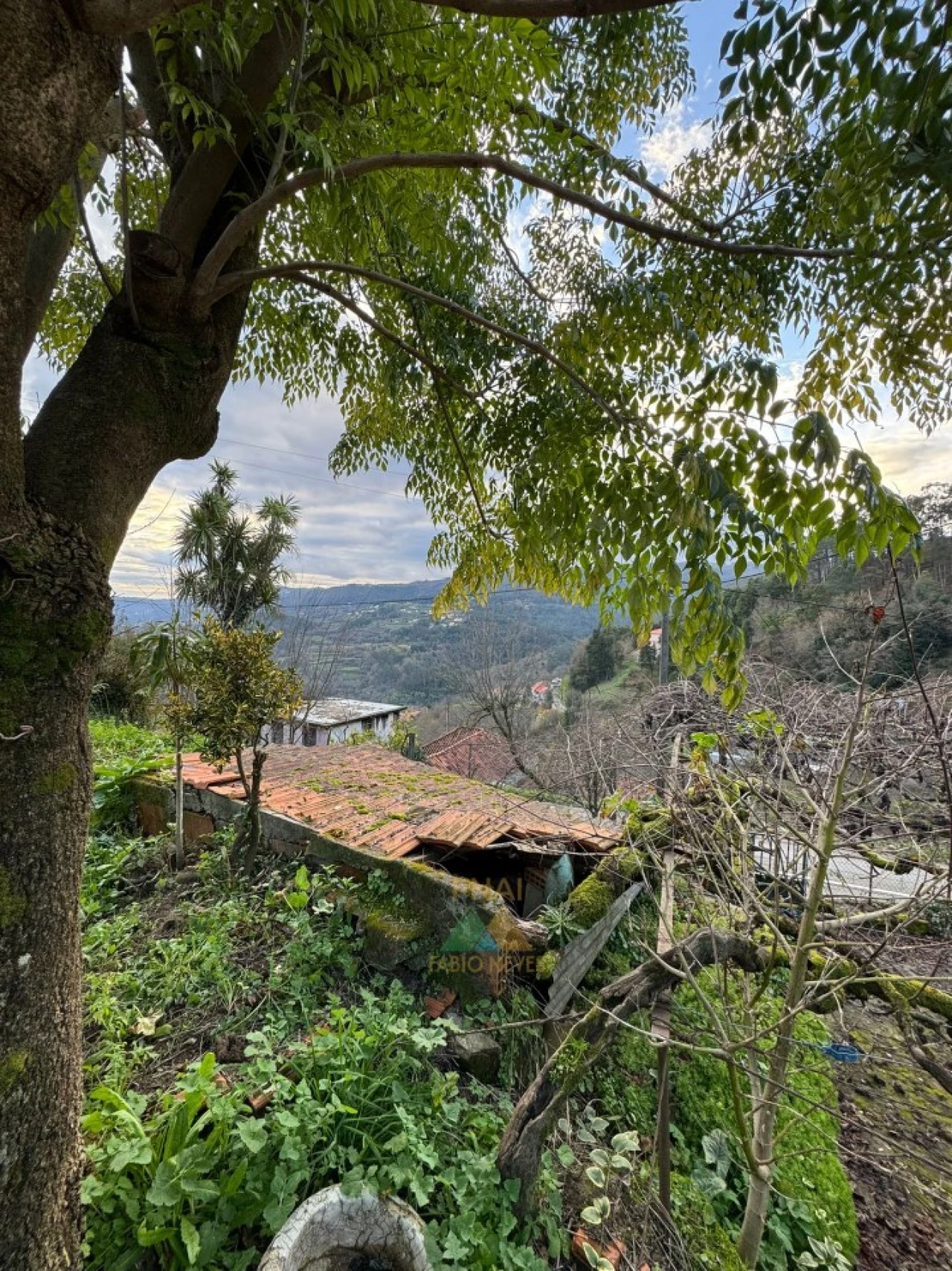 Moradia T2 para Venda em Portela e Extremo Foto 16