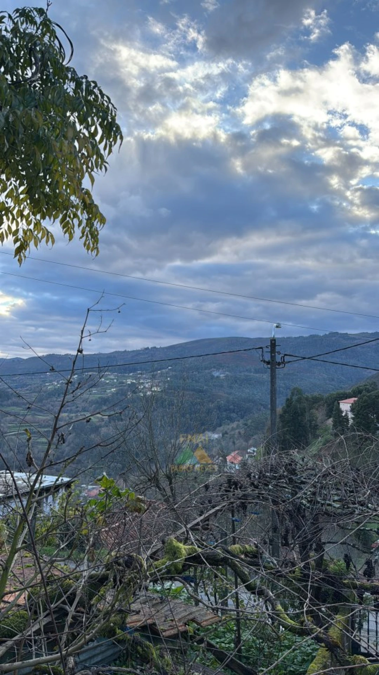 Moradia T2 para Venda em Portela e Extremo Foto 17