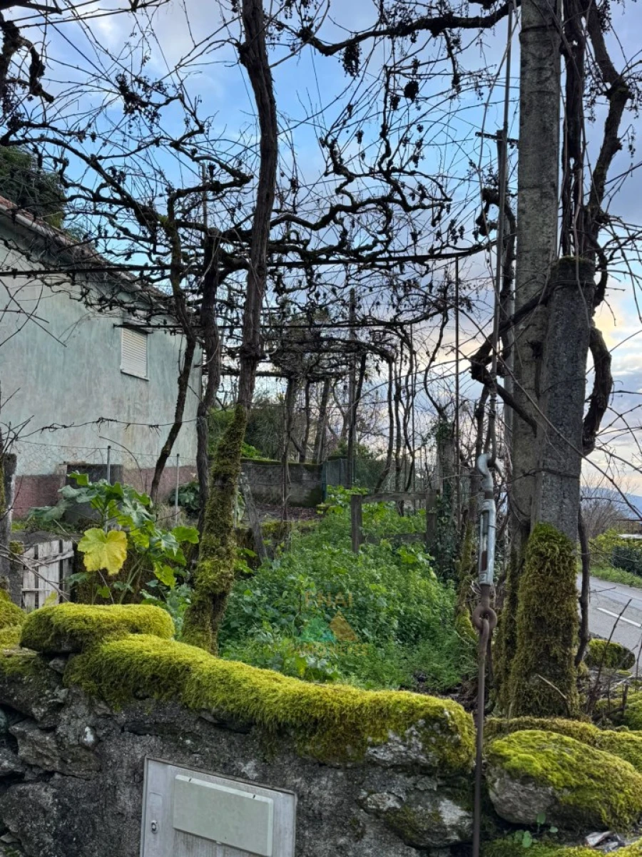 Moradia T2 para Venda em Portela e Extremo Foto 6