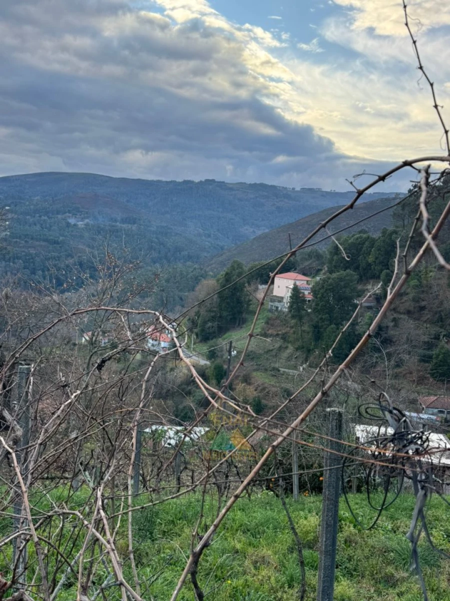 Moradia T2 para Venda em Portela e Extremo Foto 18