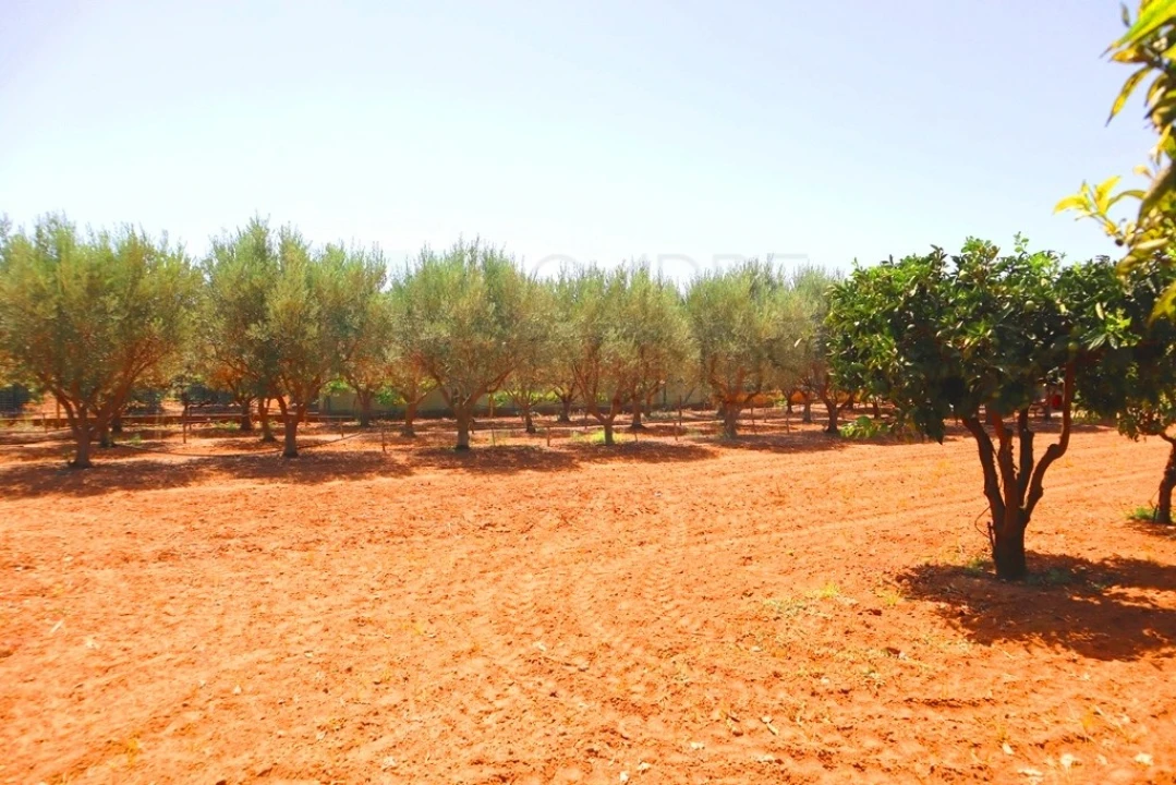 Quinta T4 para Venda em Luz de Tavira e Santo Estêvão Foto 45
