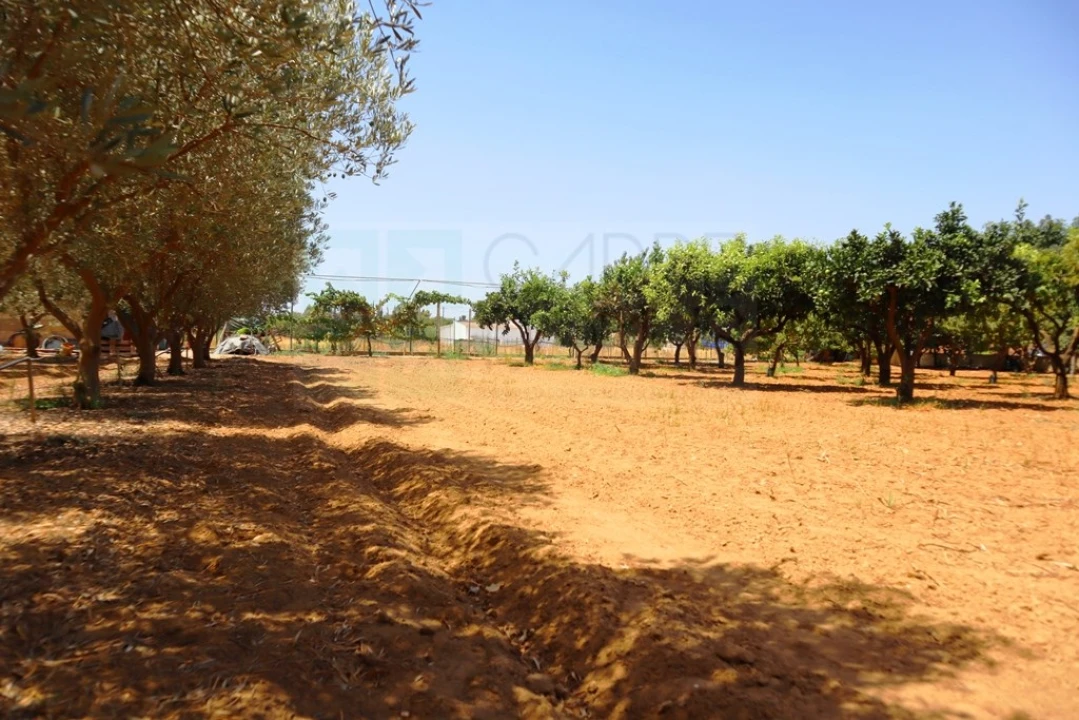 Quinta T4 para Venda em Luz de Tavira e Santo Estêvão Foto 50