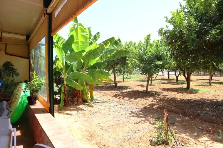 Quinta T4 para Venda em Luz de Tavira e Santo Estêvão Foto 38