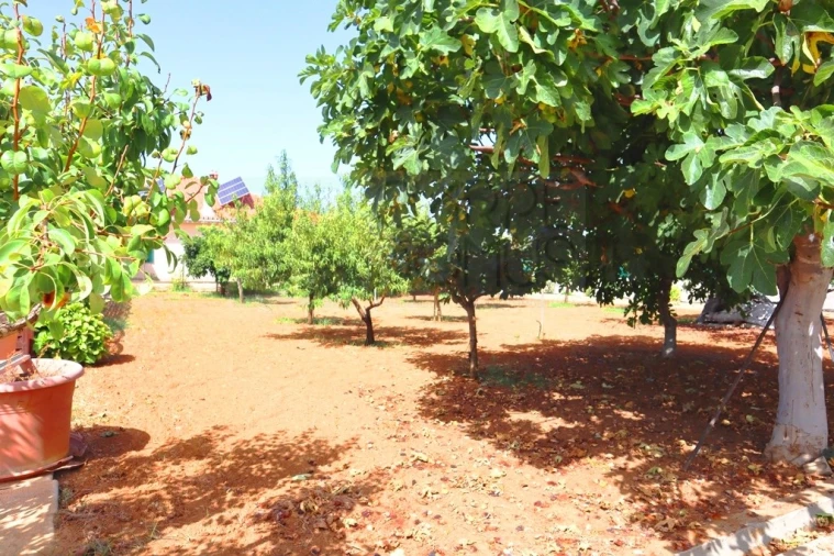 Quinta T4 para Venda em Luz de Tavira e Santo Estêvão Foto 46