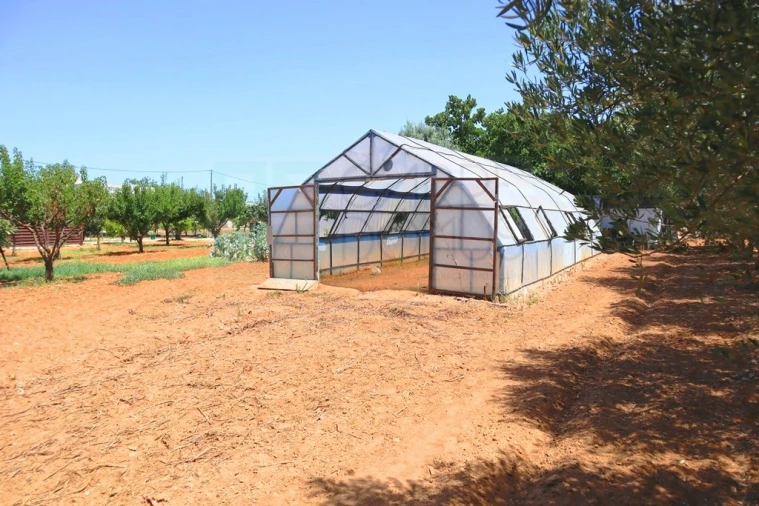Quinta T4 para Venda em Luz de Tavira e Santo Estêvão Foto 48
