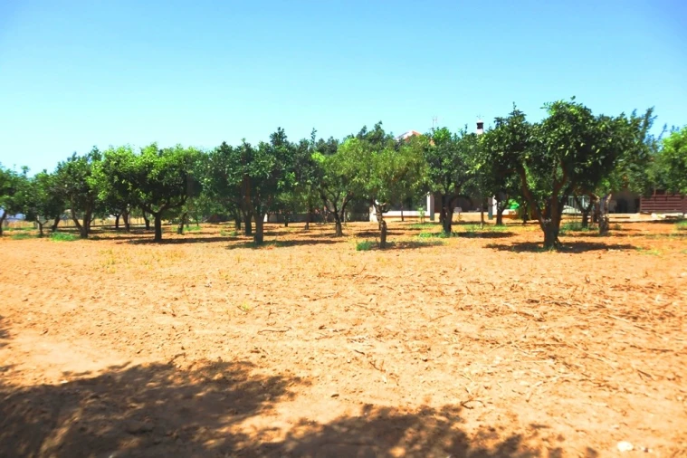 Quinta T4 para Venda em Luz de Tavira e Santo Estêvão Foto 49