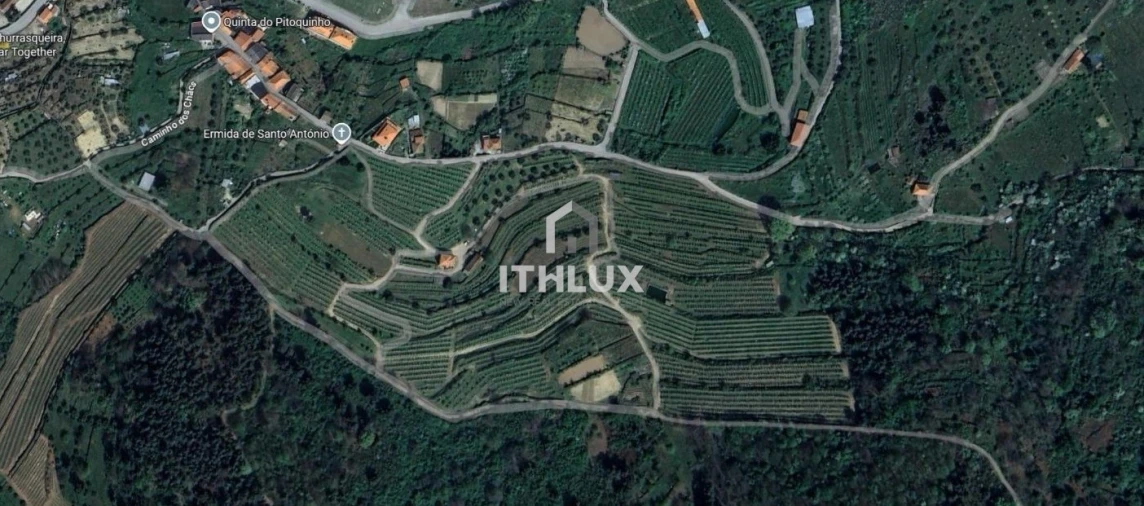 Quinta T3 para Venda em São João de Tarouca Foto 19