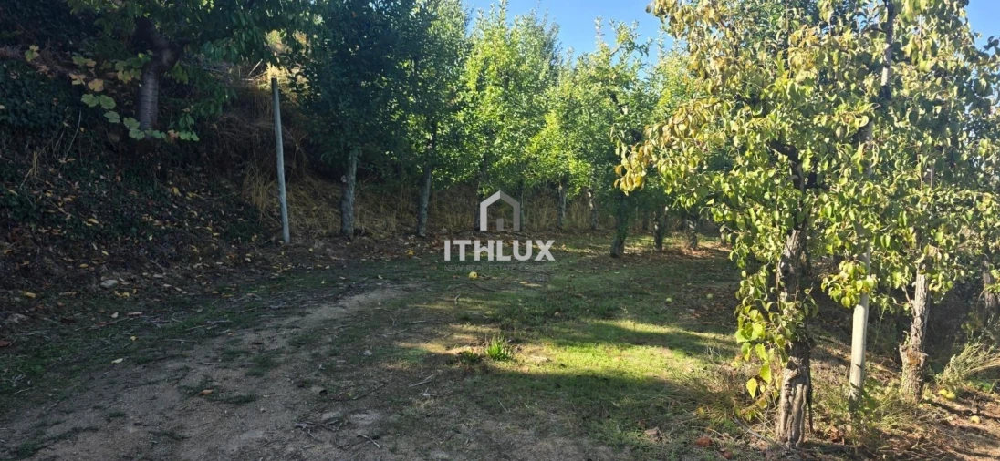 Quinta T3 para Venda em São João de Tarouca Foto 9