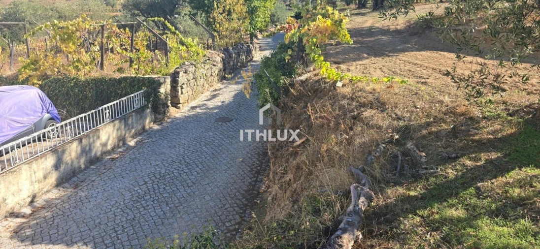 Quinta T3 para Venda em São João de Tarouca Foto 18
