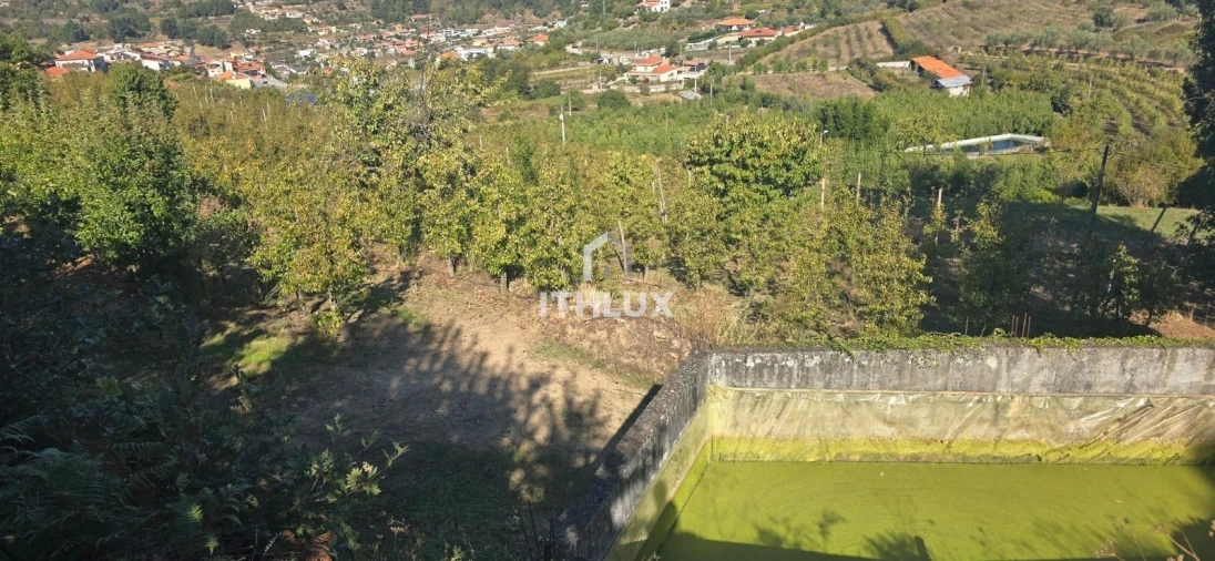 Quinta T3 para Venda em São João de Tarouca Foto 8