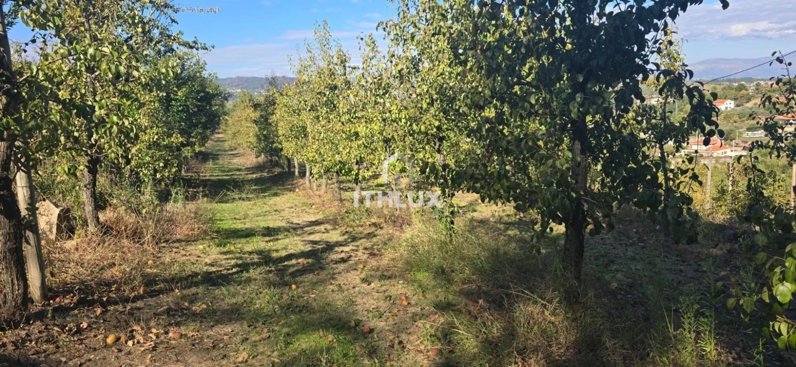 Quinta T3 para Venda em São João de Tarouca Foto 10