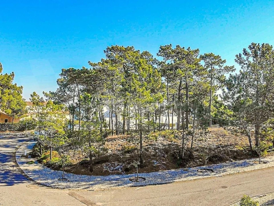 Moradia T4 para Venda em Carvalhal Foto 33