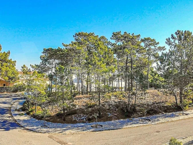 Moradia T4 para Venda em Carvalhal Foto 33