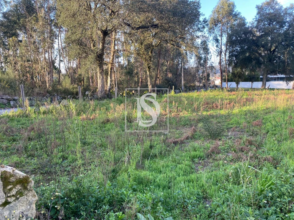 Terreno para Venda em Barcelos, V.Boa, V.Frescainha Foto 6