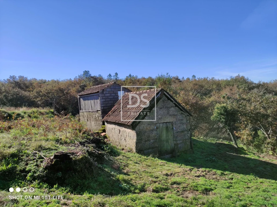 Terreno para Venda em Gouveia (São Simão) Foto 11
