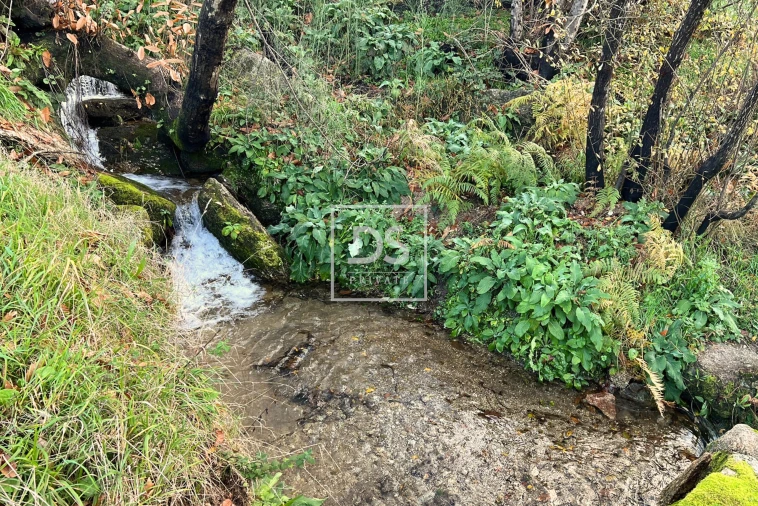 Terreno para Venda em Gouveia (São Simão) Foto 6